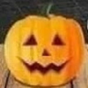 Meet your Posher, Autumn